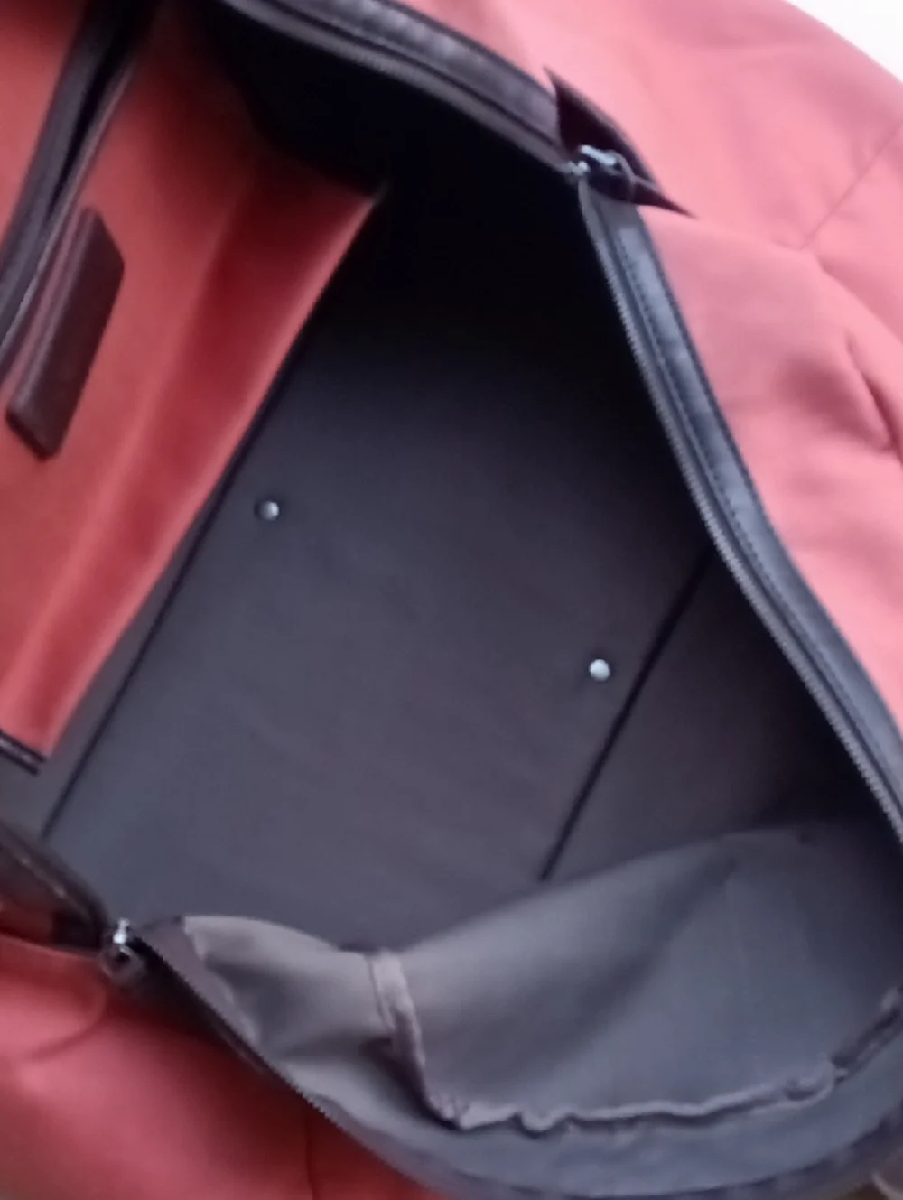 Everlane roomy bag